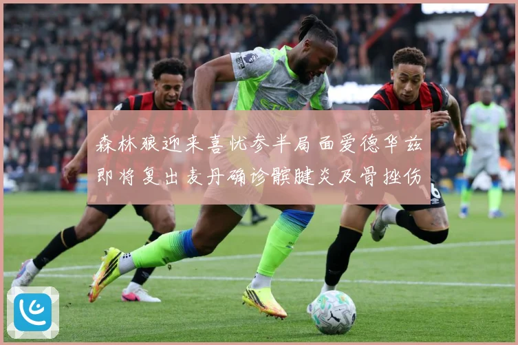 森林狼迎来喜忧参半局面爱德华兹即将复出麦丹确诊髌腱炎及骨挫伤成长观察