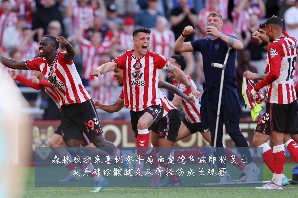 森林狼迎来喜忧参半局面爱德华兹即将复出麦丹确诊髌腱炎及骨挫伤成长观察