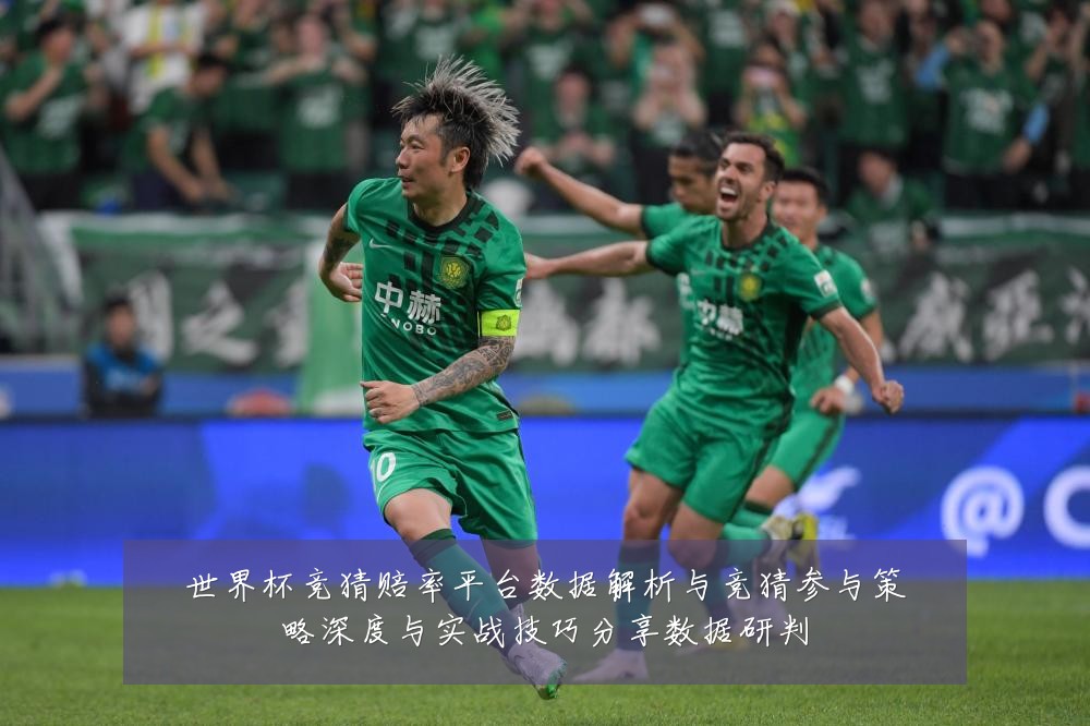 世界杯竞猜赔率平台数据解析与竞猜参与策略深度与实战技巧分享数据研判