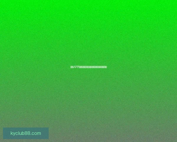 开云APP下载攻略及安装教程让你轻松体验全新功能