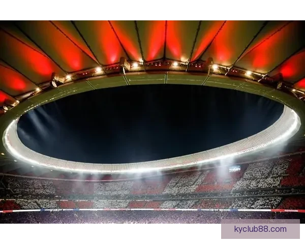 开云体育助力体育产业发展 打造全球领先的数字平台生态